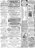 imagen miniatura de la página