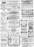 imagen miniatura de la página