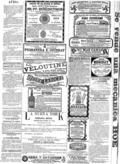 imagen miniatura de la página