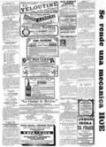 imagen miniatura de la página