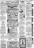 imagen miniatura de la página