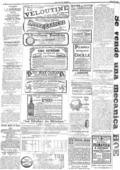 imagen miniatura de la página