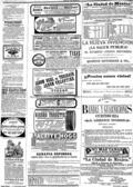 imagen miniatura de la página