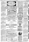 imagen miniatura de la página