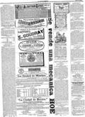 imagen miniatura de la página