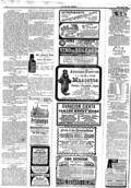 imagen miniatura de la página
