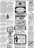 imagen miniatura de la página