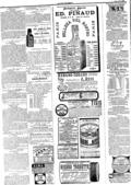 imagen miniatura de la página
