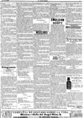 imagen miniatura de la página