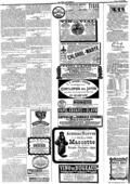imagen miniatura de la página