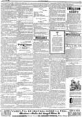imagen miniatura de la página