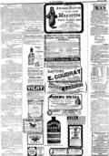 imagen miniatura de la página