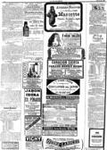 imagen miniatura de la página