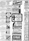 imagen miniatura de la página