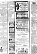imagen miniatura de la página