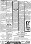 imagen miniatura de la página