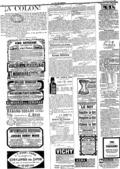 imagen miniatura de la página