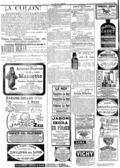 imagen miniatura de la página