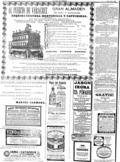imagen miniatura de la página