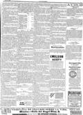 imagen miniatura de la página