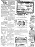 imagen miniatura de la página