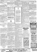 imagen miniatura de la página