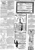 imagen miniatura de la página