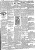 imagen miniatura de la página
