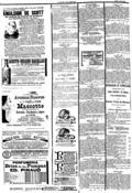 imagen miniatura de la página