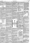 imagen miniatura de la página