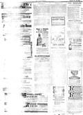 imagen miniatura de la página