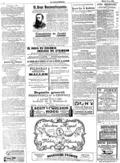 imagen miniatura de la página