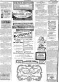 imagen miniatura de la página