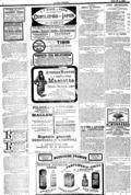 imagen miniatura de la página