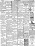 imagen miniatura de la página