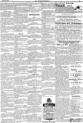imagen miniatura de la página