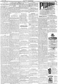 imagen miniatura de la página