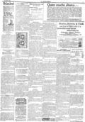 imagen miniatura de la página