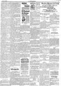 imagen miniatura de la página