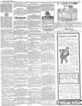 imagen miniatura de la página