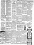 imagen miniatura de la página