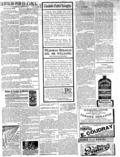 imagen miniatura de la página