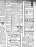 imagen miniatura de la página