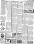 imagen miniatura de la página