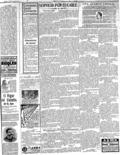 imagen miniatura de la página
