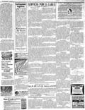 imagen miniatura de la página