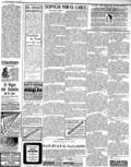 imagen miniatura de la página