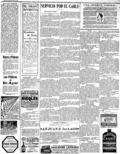 imagen miniatura de la página