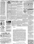 imagen miniatura de la página