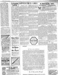 imagen miniatura de la página